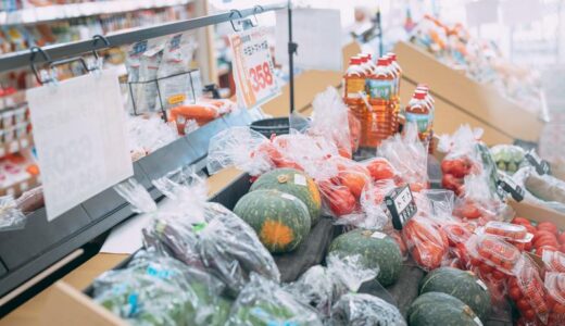 #013「食料品の消費税減税を進めるのか自民党」